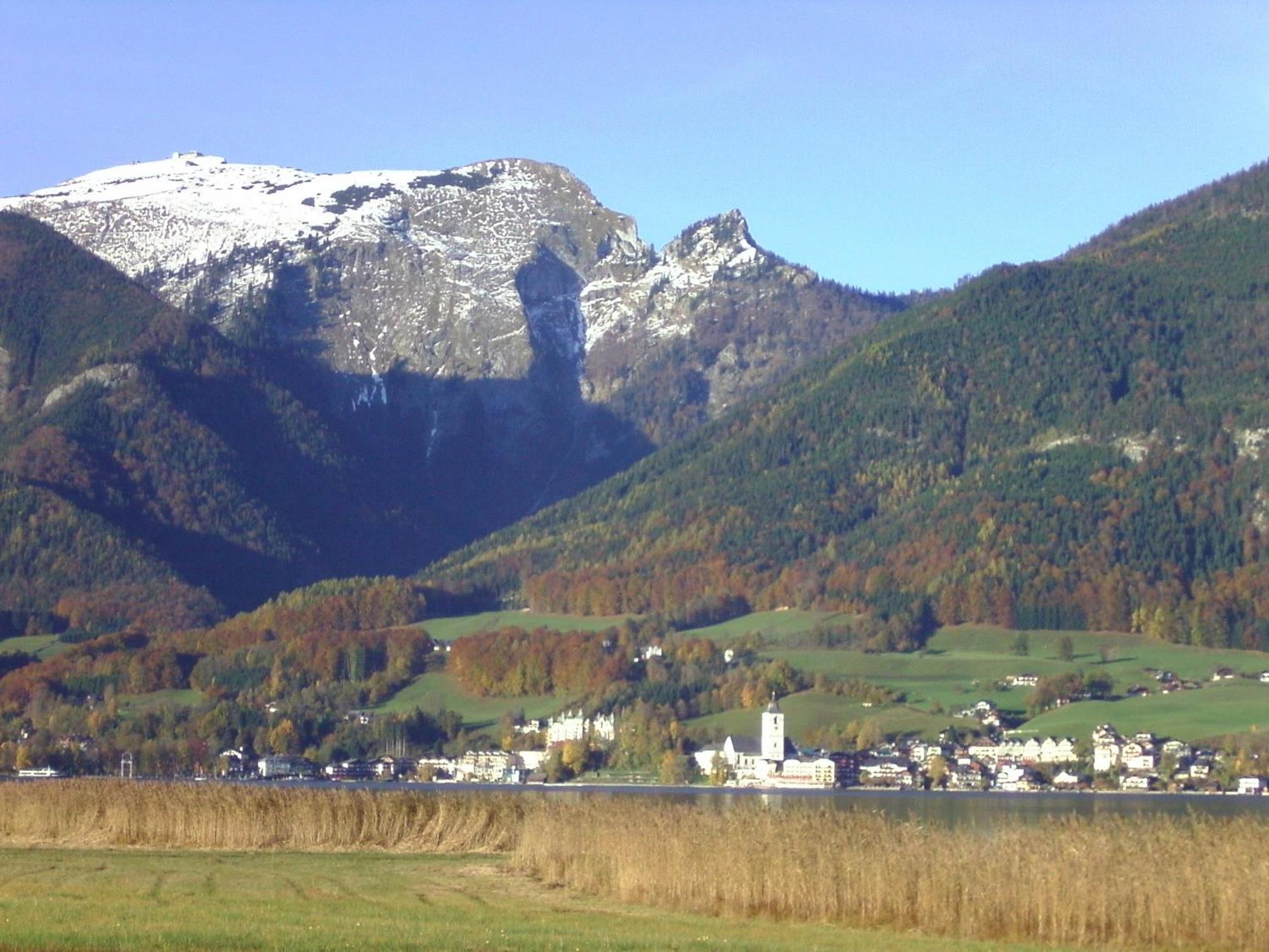 Gasthof Wiesenhof Штробль Екстер'єр фото