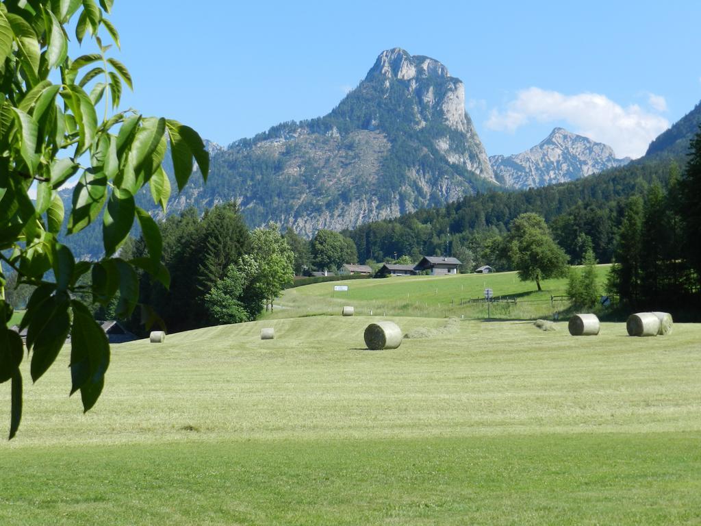 Gasthof Wiesenhof Штробль Екстер'єр фото
